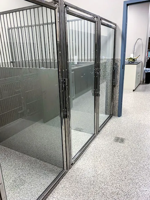 All Pets Veterinary Clinic Picture 5
