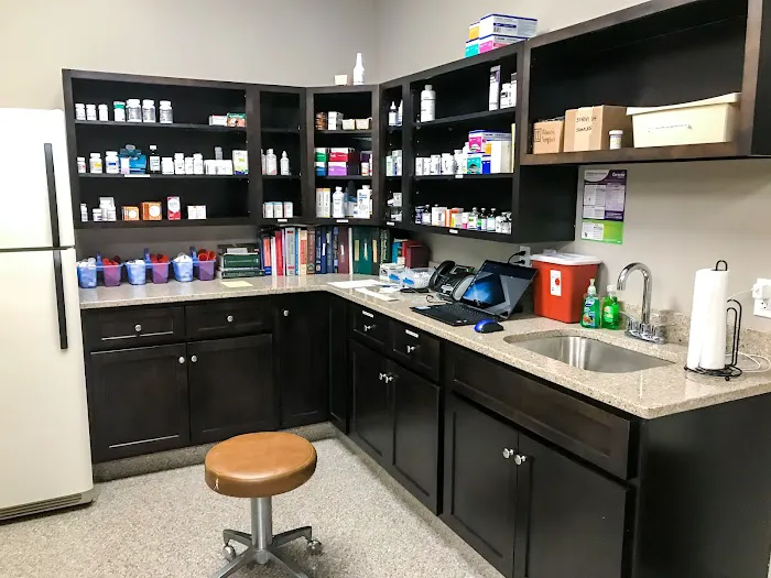 All Pets Veterinary Clinic Picture 8