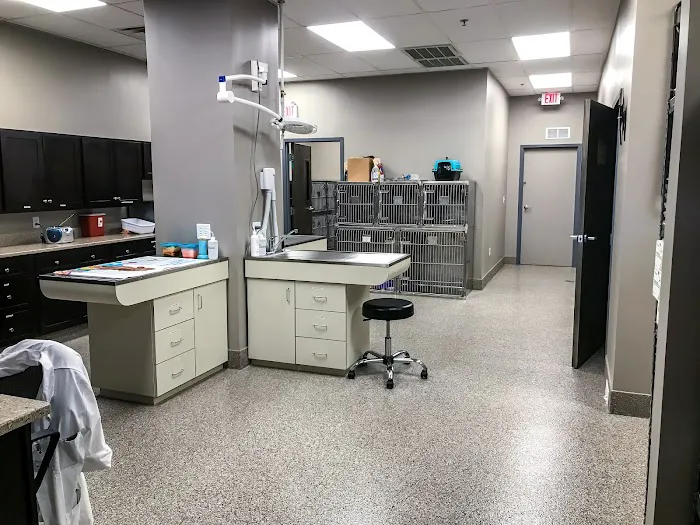 All Pets Veterinary Clinic Picture 3