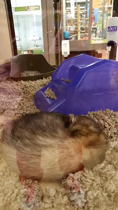 Petco Picture 4