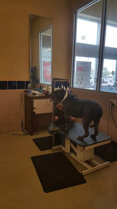 Petco Picture 1