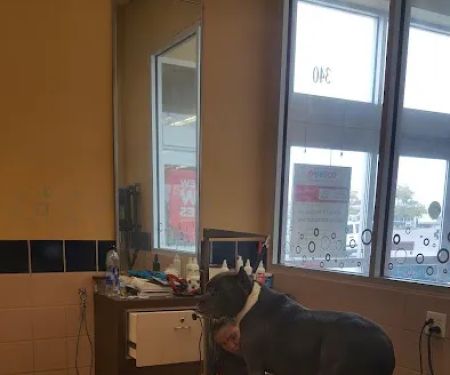 Petco