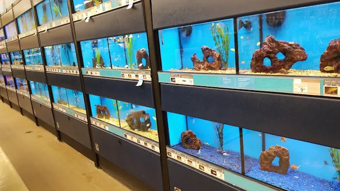 Petco Picture 5