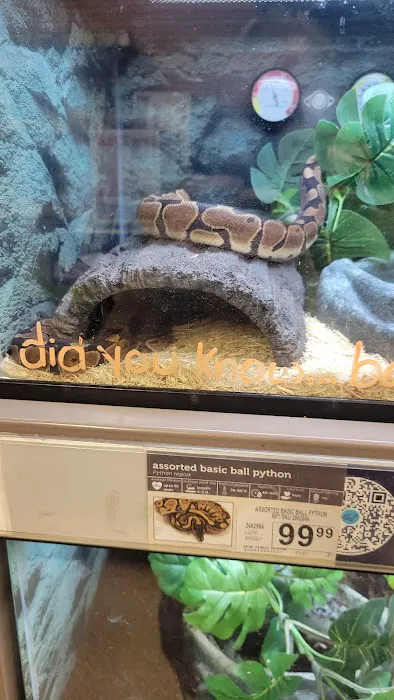 Petco Picture 9