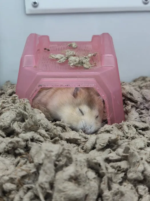 Petco Picture 6