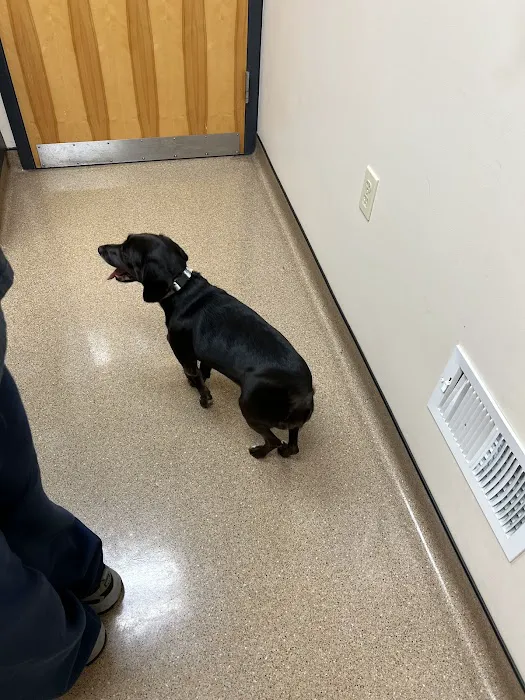 Town & Country Veterinary Center Picture 6