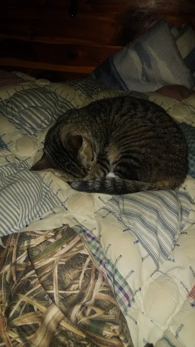 Critters Without Litters Picture 1