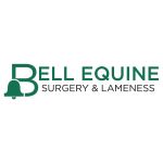 Bell Equine Surgery & Lameness
