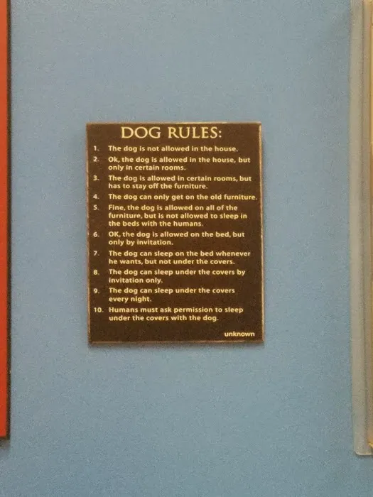 Burlington Pet Hospital Picture 3