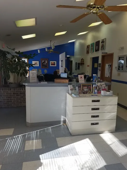 Burlington Pet Hospital Picture 6