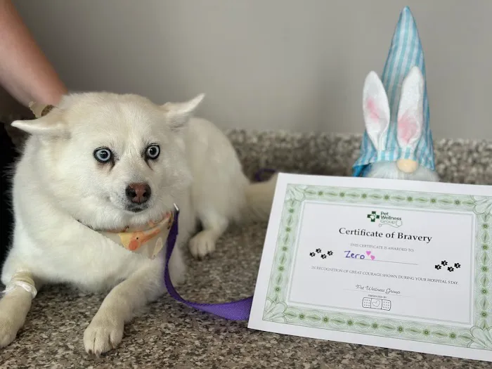 The Pet Wellness Group: Hebron Picture 5