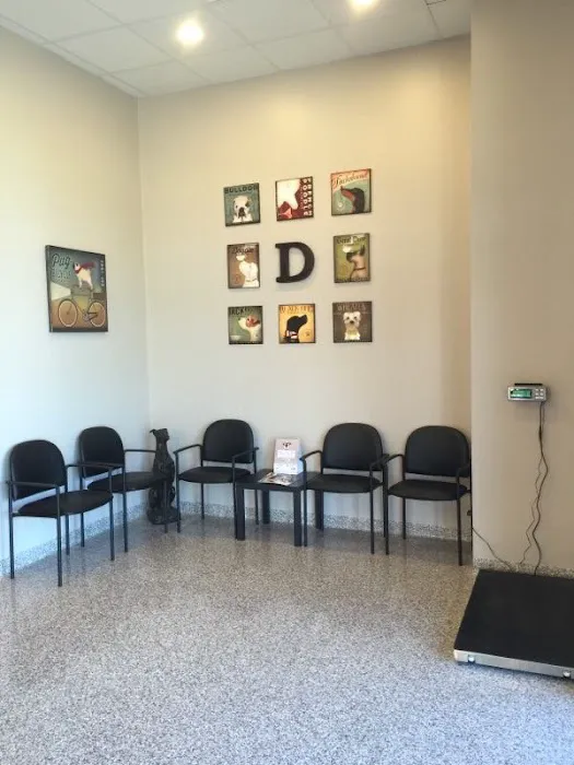 The Pet Wellness Group: Hebron Picture 3