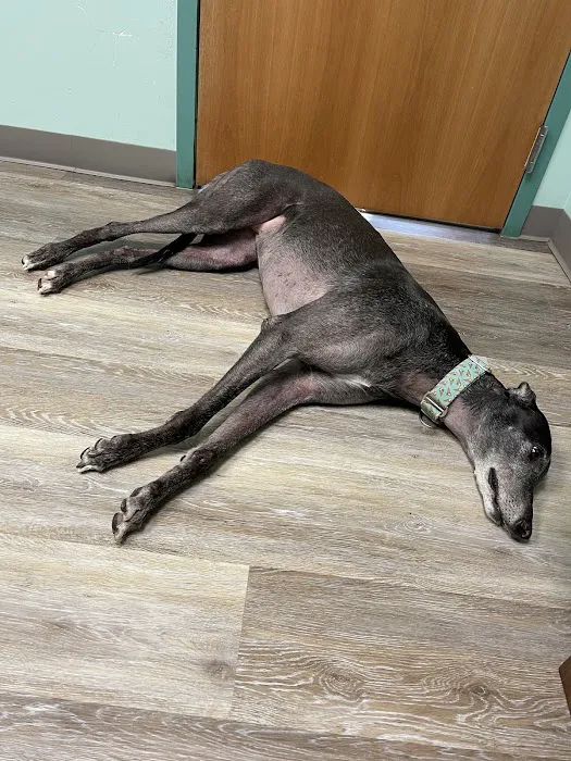 Hebron Animal Hospital Picture 1