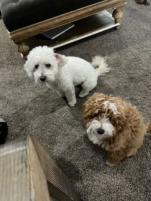 Tri Point Veterinary Clinic Picture 10