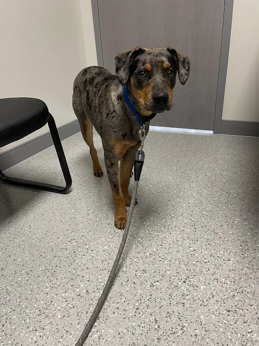 Tri Point Veterinary Clinic Picture 4