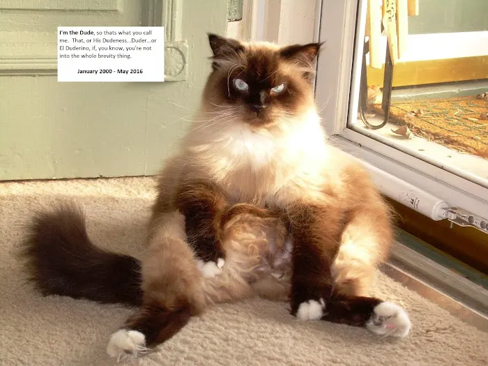 Jackman's Animal Clinic Picture 10