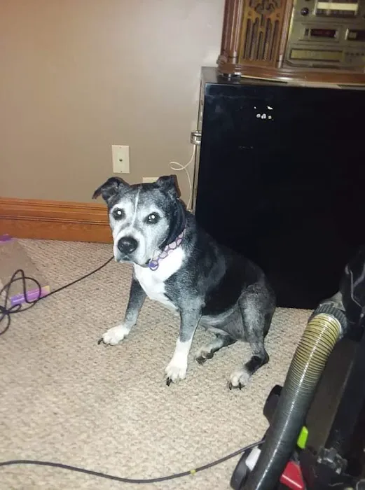 Jackman's Animal Clinic Picture 7