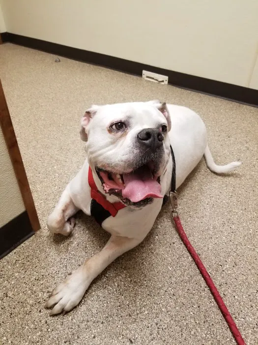 Connersville Veterinary Clinic Picture 7