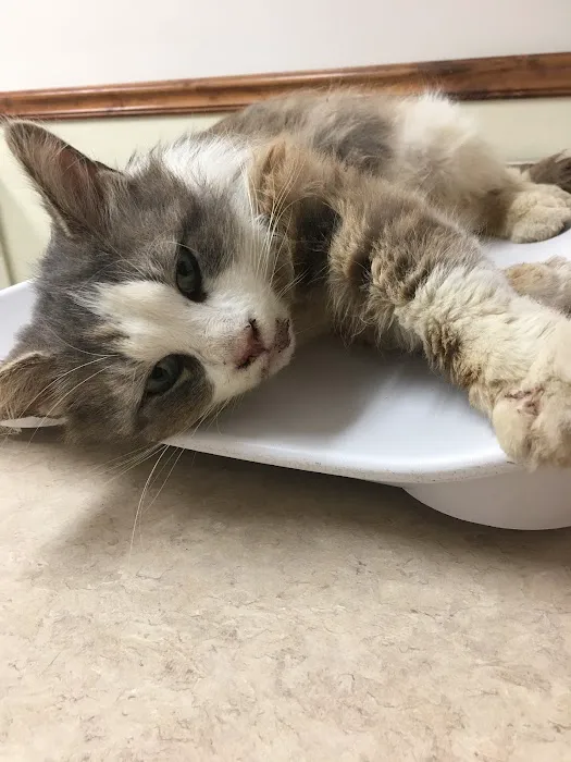 Connersville Veterinary Clinic Picture 2