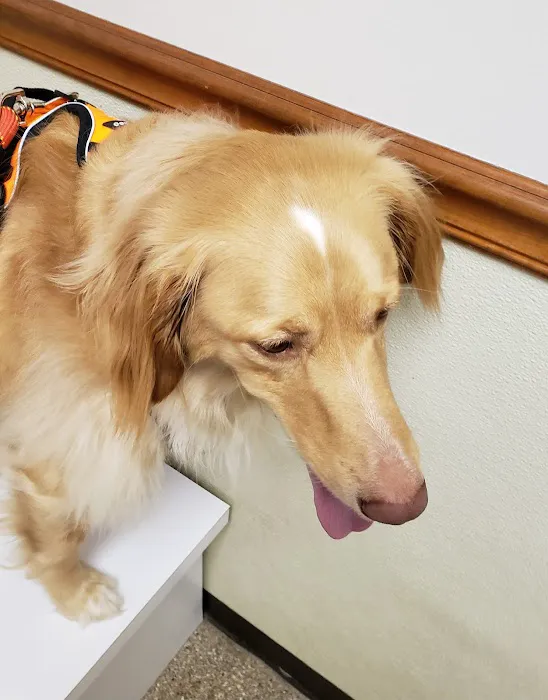 Connersville Veterinary Clinic Picture 5