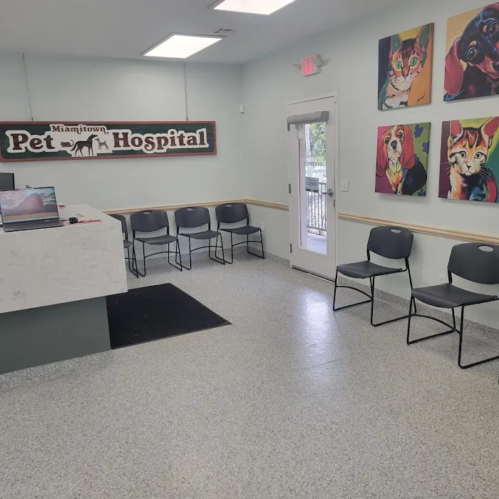 Miamitown Pet Hospital Picture 7