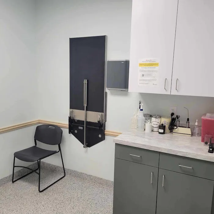 Miamitown Pet Hospital Picture 9