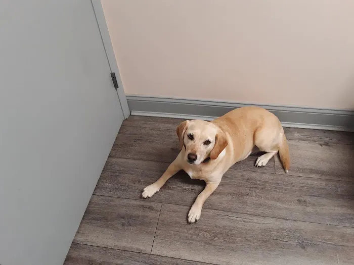 Harrison Animal Hospital Picture 2