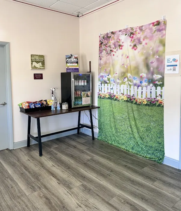 Harrison Animal Hospital Picture 4