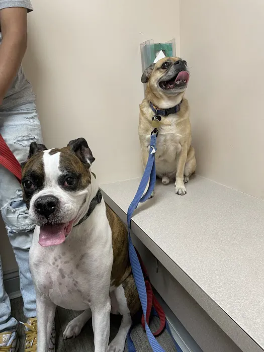 Harrison Animal Hospital Picture 1