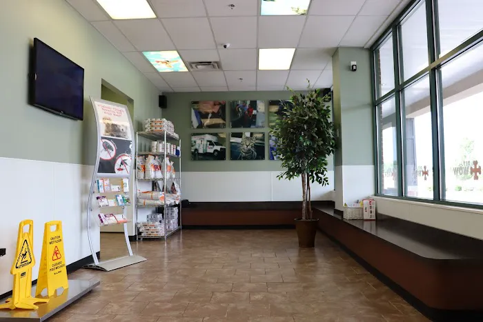 PetWow Grooming and Veterinary Care - Florence Picture 10