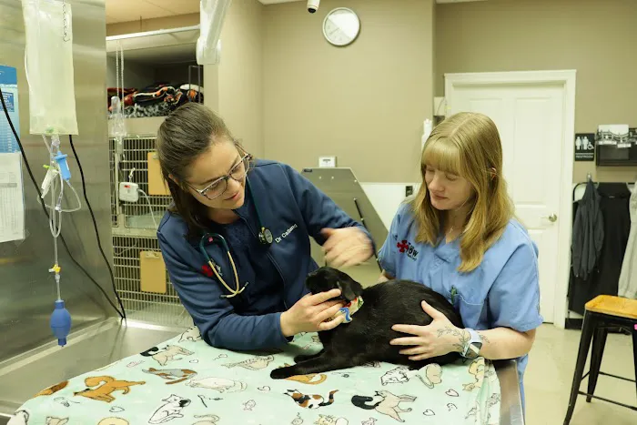 PetWow Grooming and Veterinary Care - Florence Picture 5