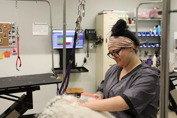 PetWow Grooming and Veterinary Care - Florence Picture 3