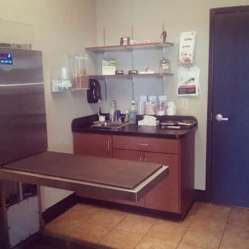 PetWow Grooming and Veterinary Care - Florence Picture 8
