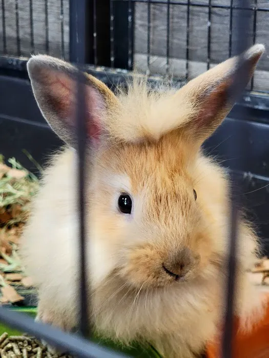 Harrison Pet Center Picture 1