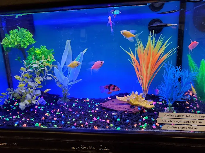 Harrison Pet Center Picture 7