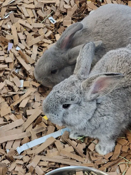 Harrison Pet Center Picture 9