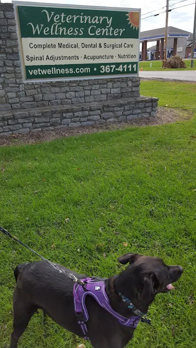 Veterinary Wellness Center Picture 3