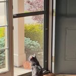 Veterinary Wellness Center