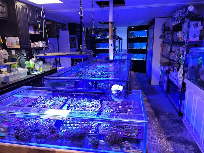 Bourbon Country Corals, LLC Picture 8