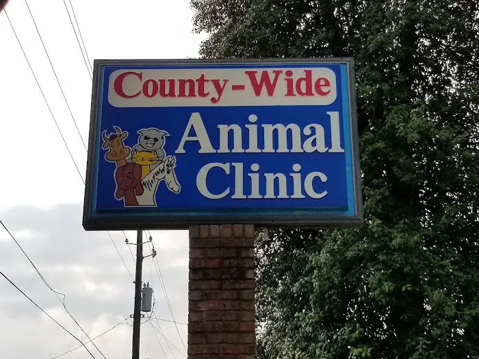 County Wide Animal Clinic Picture 3