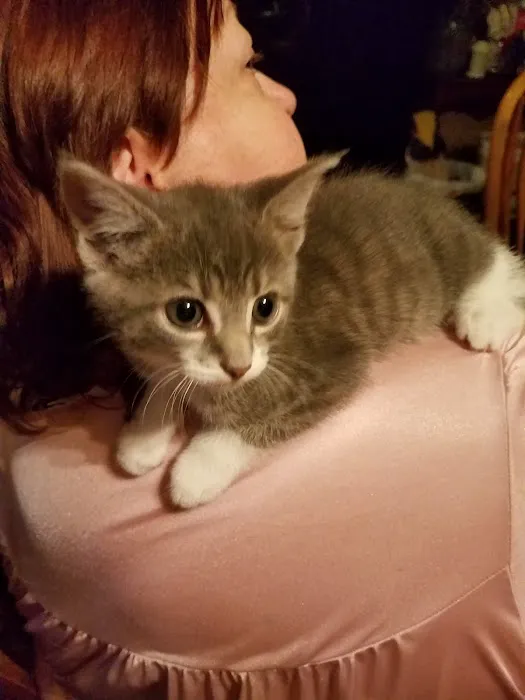 County Wide Animal Clinic Picture 5