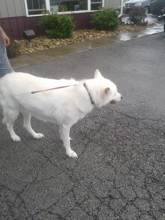 Perry County Animal Hospital Picture 8