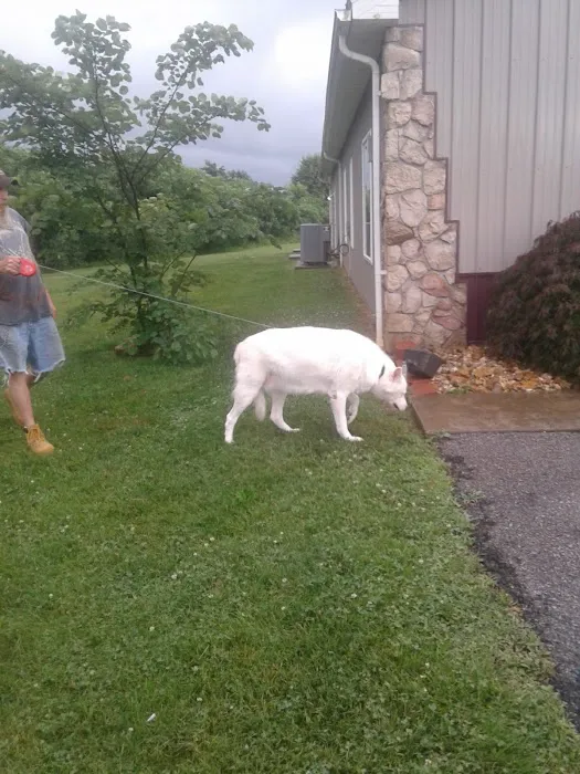 Perry County Animal Hospital Picture 5