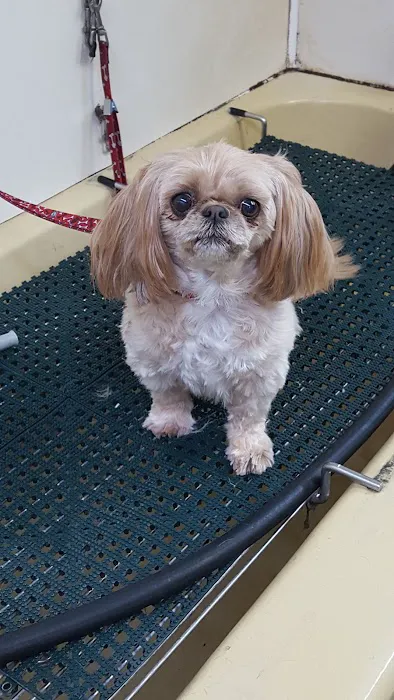Greenwood Animal Hospital Picture 5