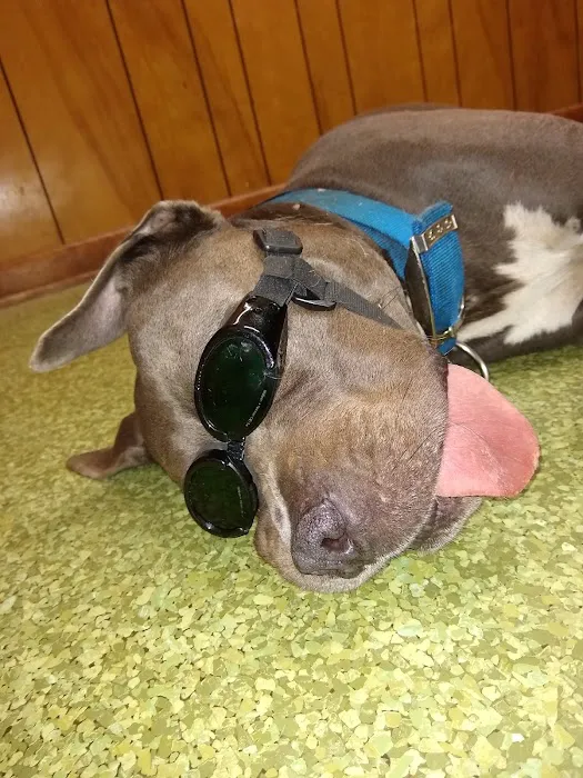 Greenwood Animal Hospital Picture 8