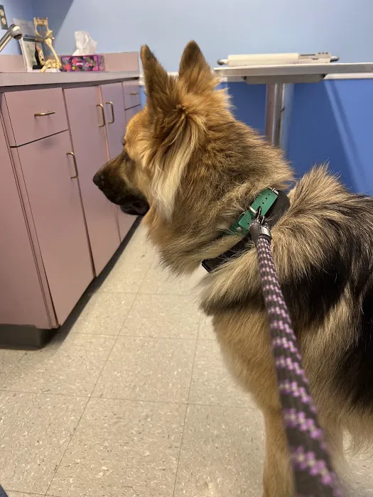 Leitchfield Veterinary Clinic Picture 6