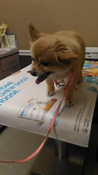Leitchfield Veterinary Clinic Picture 1