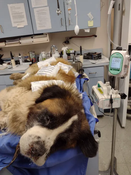 Leitchfield Veterinary Clinic Picture 5