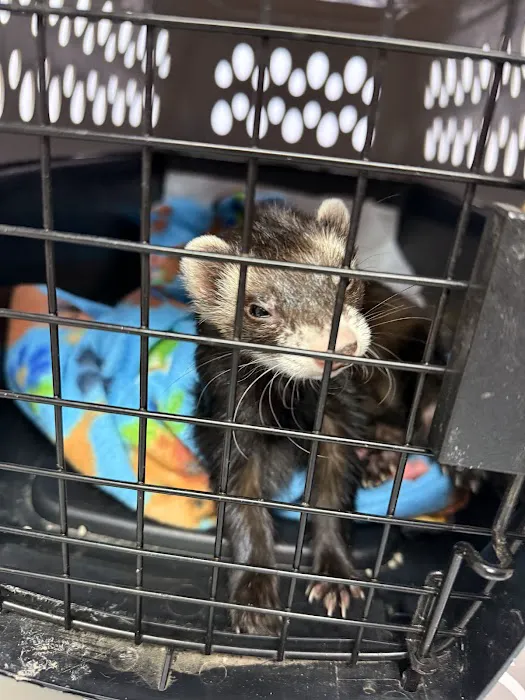 Animal Hospital of Bedford Picture 8