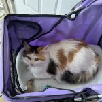 Bedford Veterinary Medical Centre